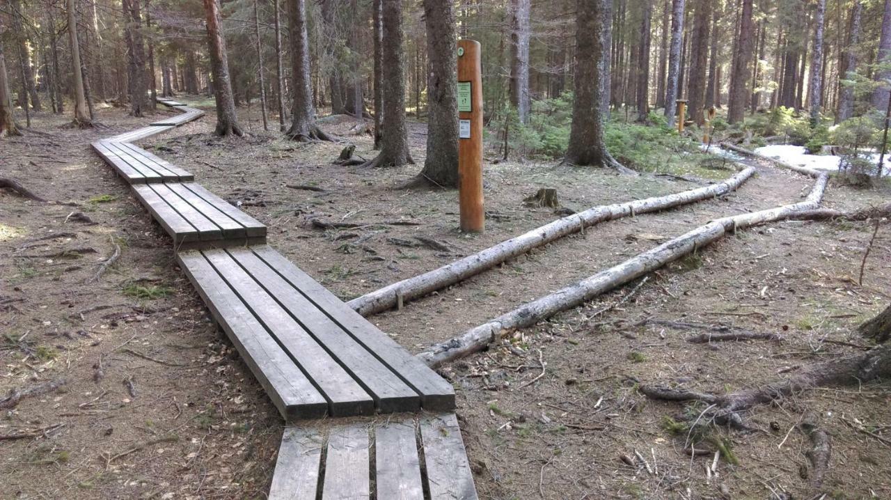 Apartment Zeleni Dragulj Pohorje Oplotnica Eksteriør bilde