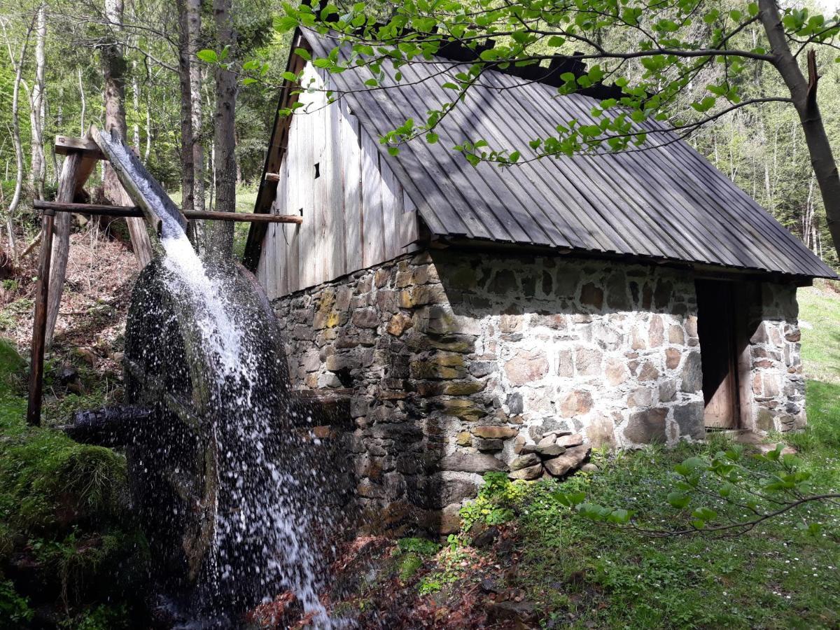 Apartment Zeleni Dragulj Pohorje Oplotnica Eksteriør bilde
